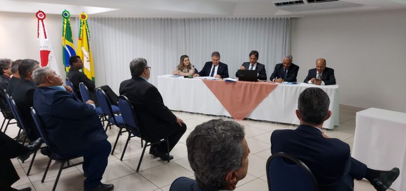 III Plenária presencial